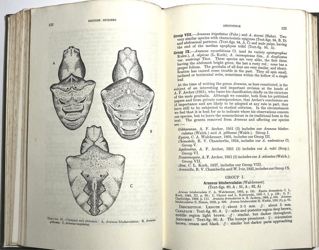 ⭕️新価格⭕️★BRITISH SPIDERS I・IIイギリスの蜘蛛図鑑