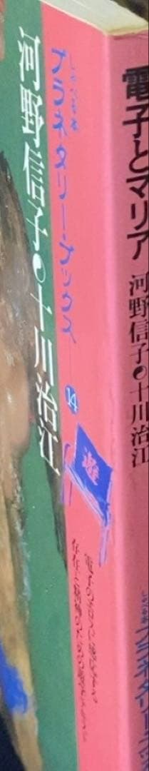 河野信子、十川治江 / 電子とマリア