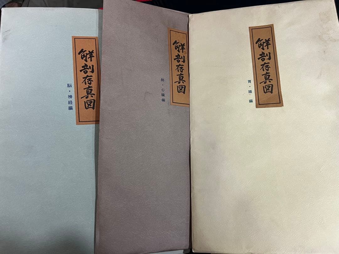 『解剖存真図』「胃・腸編」「肺・心臓編」「脳・神経編」カラー複製 3点◆腑分け