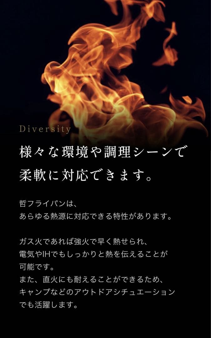 5 Star Gourmet TSUJI鉄フライパン【哲】　24cm