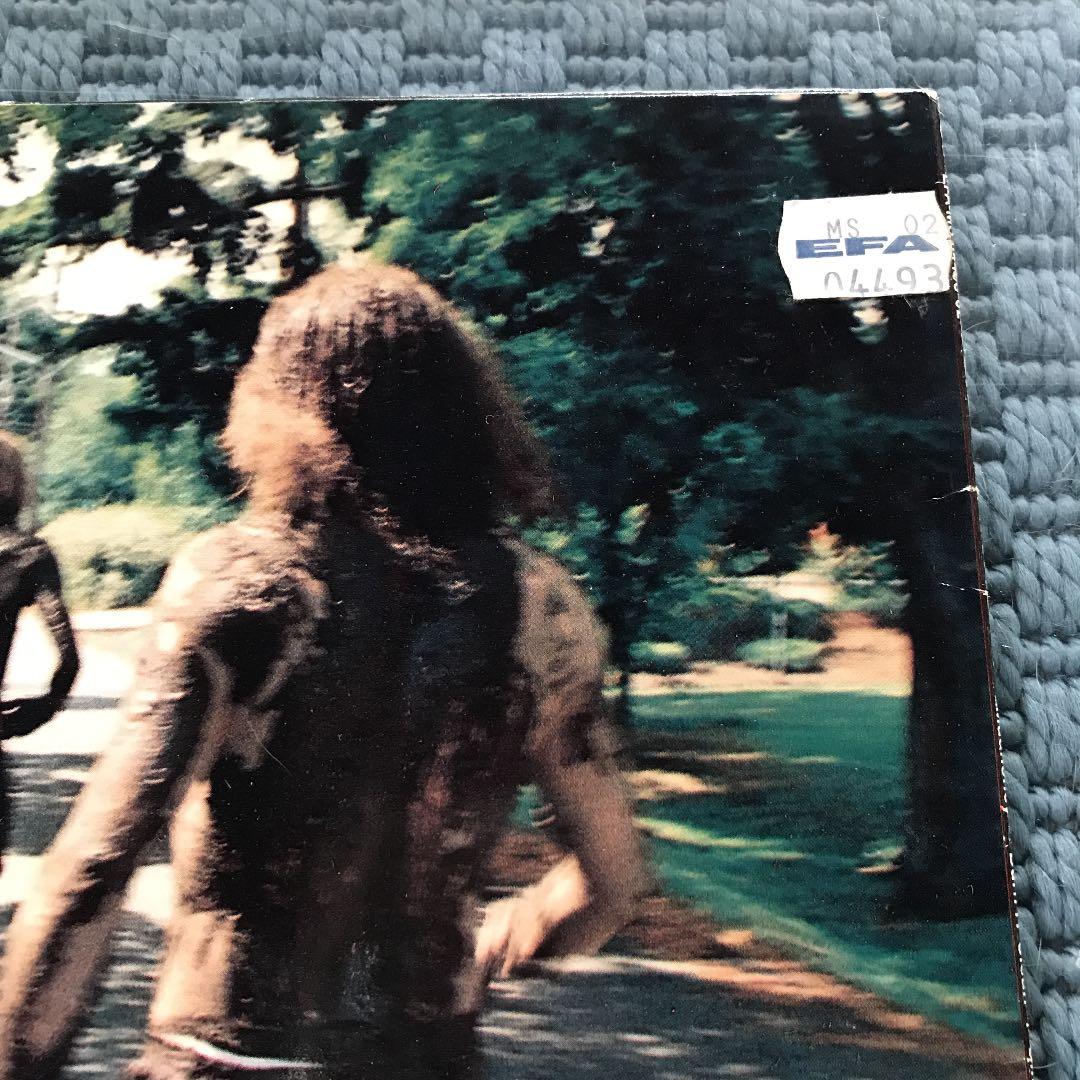 MUDHONEY マッドハニー　12インチ　レコード