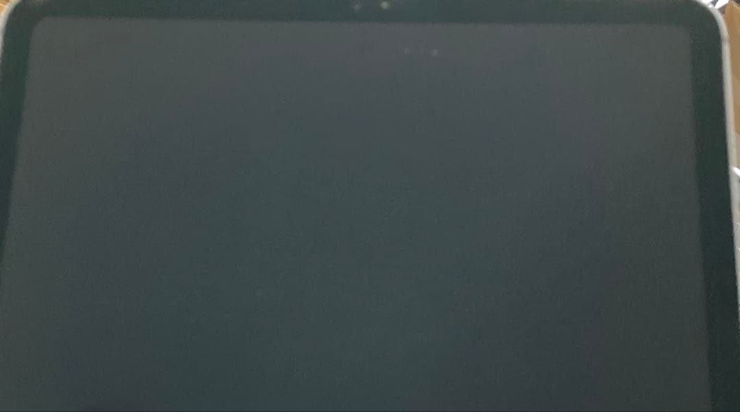 【完動品】iPad Pro 11 第1世代 256GB 【すぐ発送】