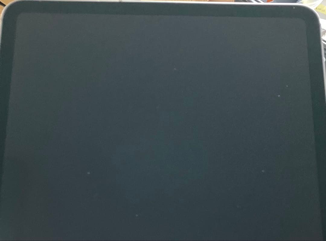 【完動品】iPad Pro 11 第1世代 256GB 【すぐ発送】