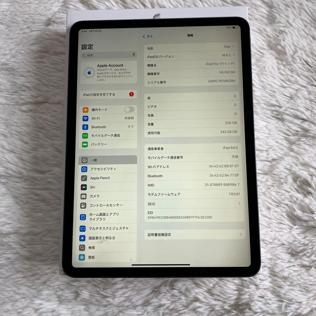 【完動品】iPad Pro 11 第1世代 256GB 【すぐ発送】