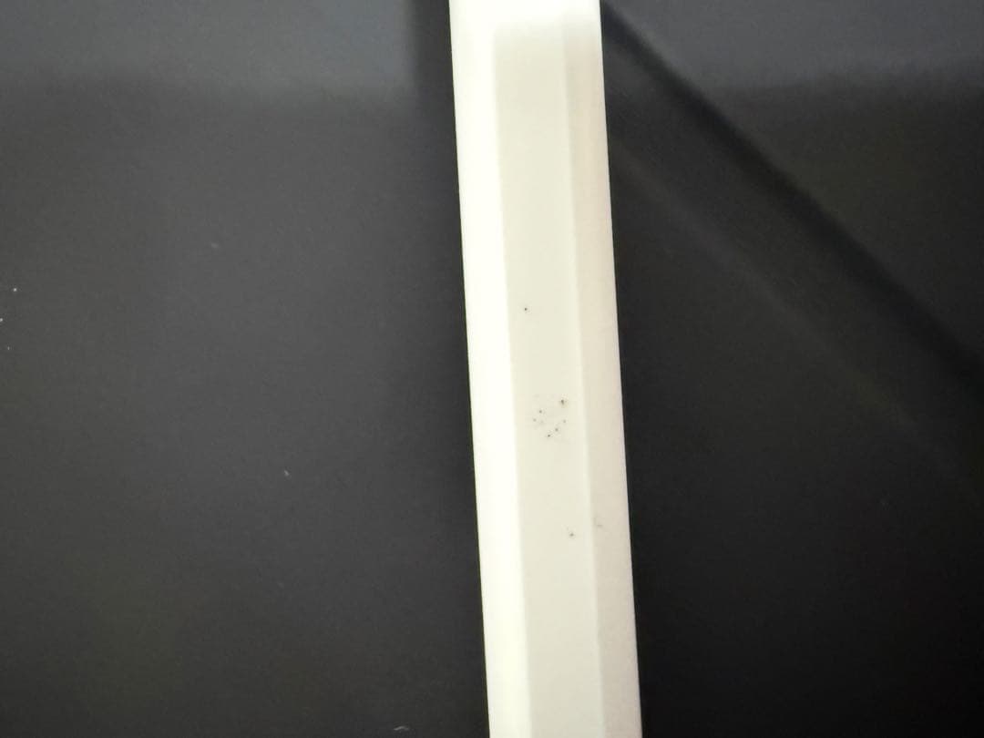iPad pro(第2世代)シルバー 本体 + Apple Pencil