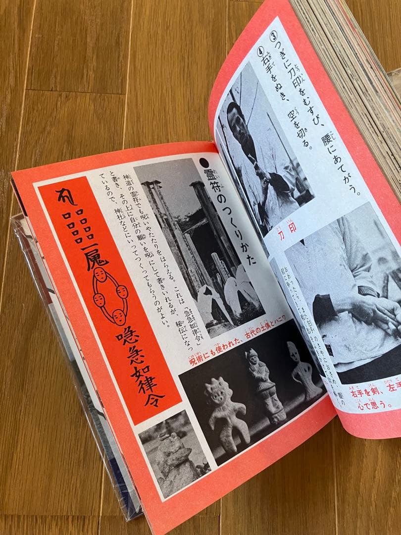 山梨賢一　恐山の死霊の画報 ひばり書房　カラーショックブックス