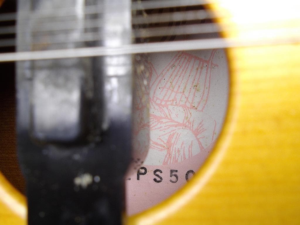ライリッシュ LPS50 均等鍵盤 大正琴 4弦 ピックアップ付き