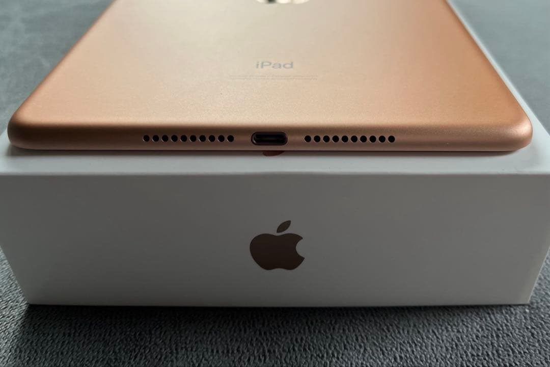 iPad mini 5 Wi-Fi 本体タブレット 64GB ゴールド