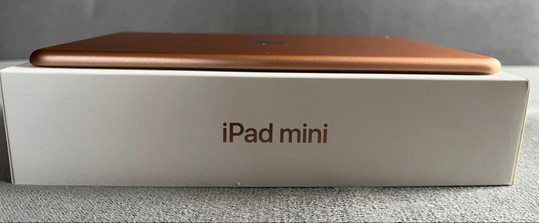 iPad mini 5 Wi-Fi 本体タブレット 64GB ゴールド