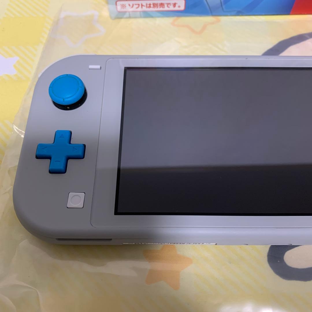 Nintendo Switch NINTENDO SWITCH LITE ザシ…