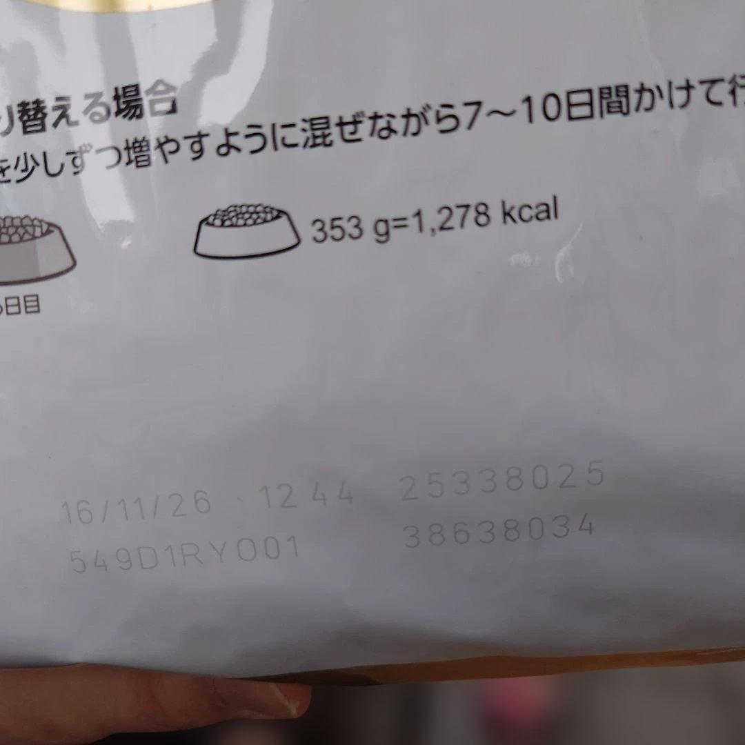 【もんもん】 CANIN ゴールデンレトリバー 3kg+ちゅ　他