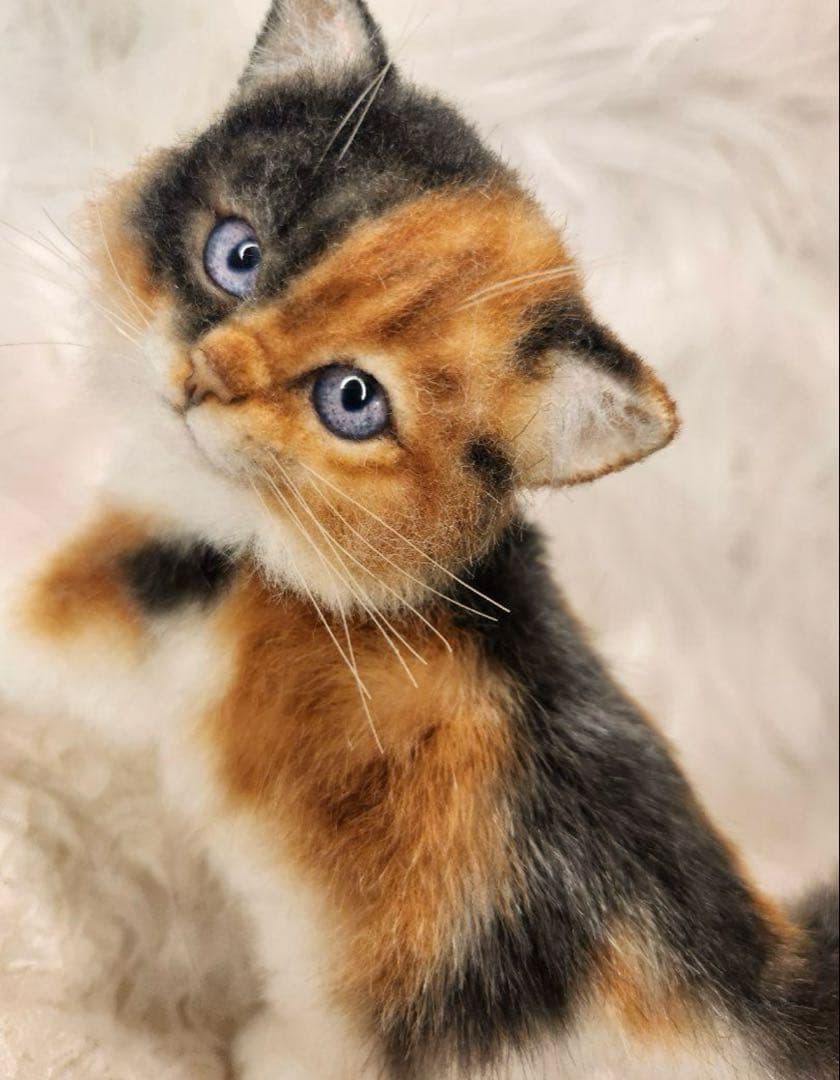 海外作家 猫 三毛猫 子猫ぬいぐるみ アートドール リアル 羊毛フェルト (左)