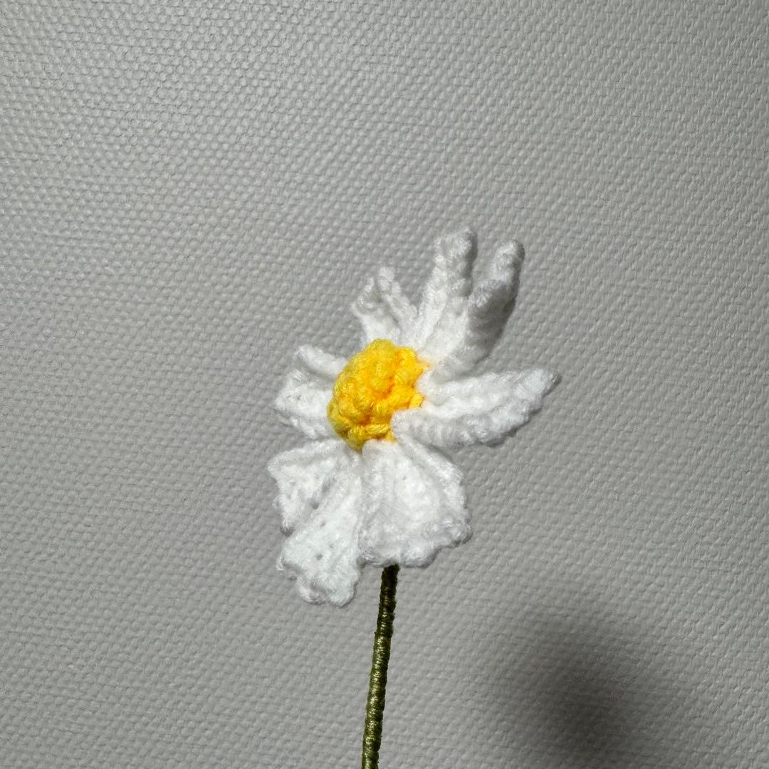 ‎✿ ‎memurin ページ ‎✿ ‎