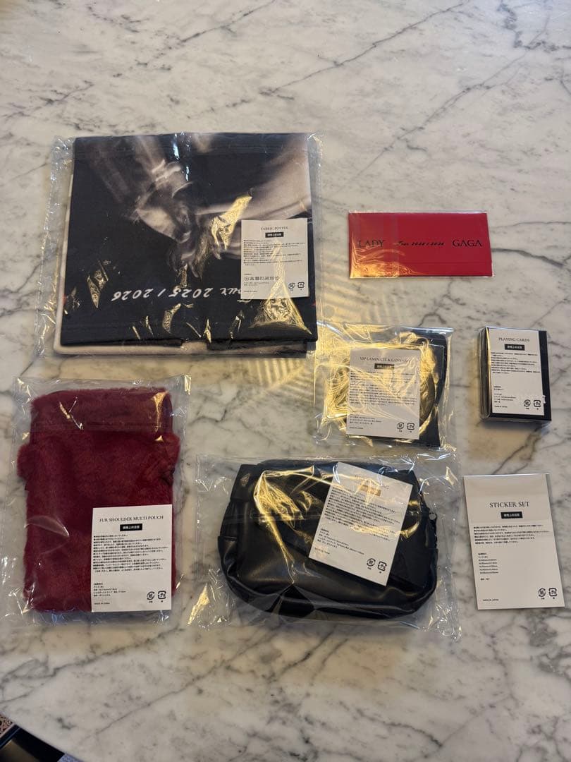 レディガガ　東京公演　Lady Gaga VIP GOLD グッズ　セット