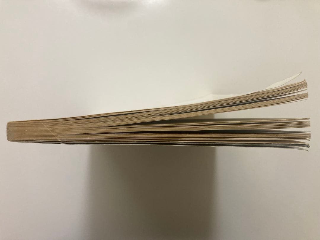 y*i様 THE BEST OF The Street Sliders バンドス