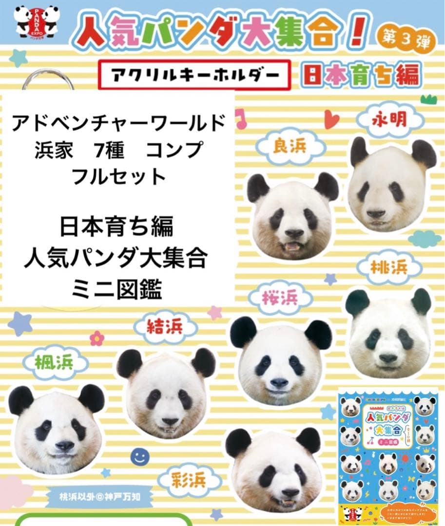 上野 パンダ ガチャ 春節祭 アクリルキーホルダー 浜家 フルセット ミニ図鑑