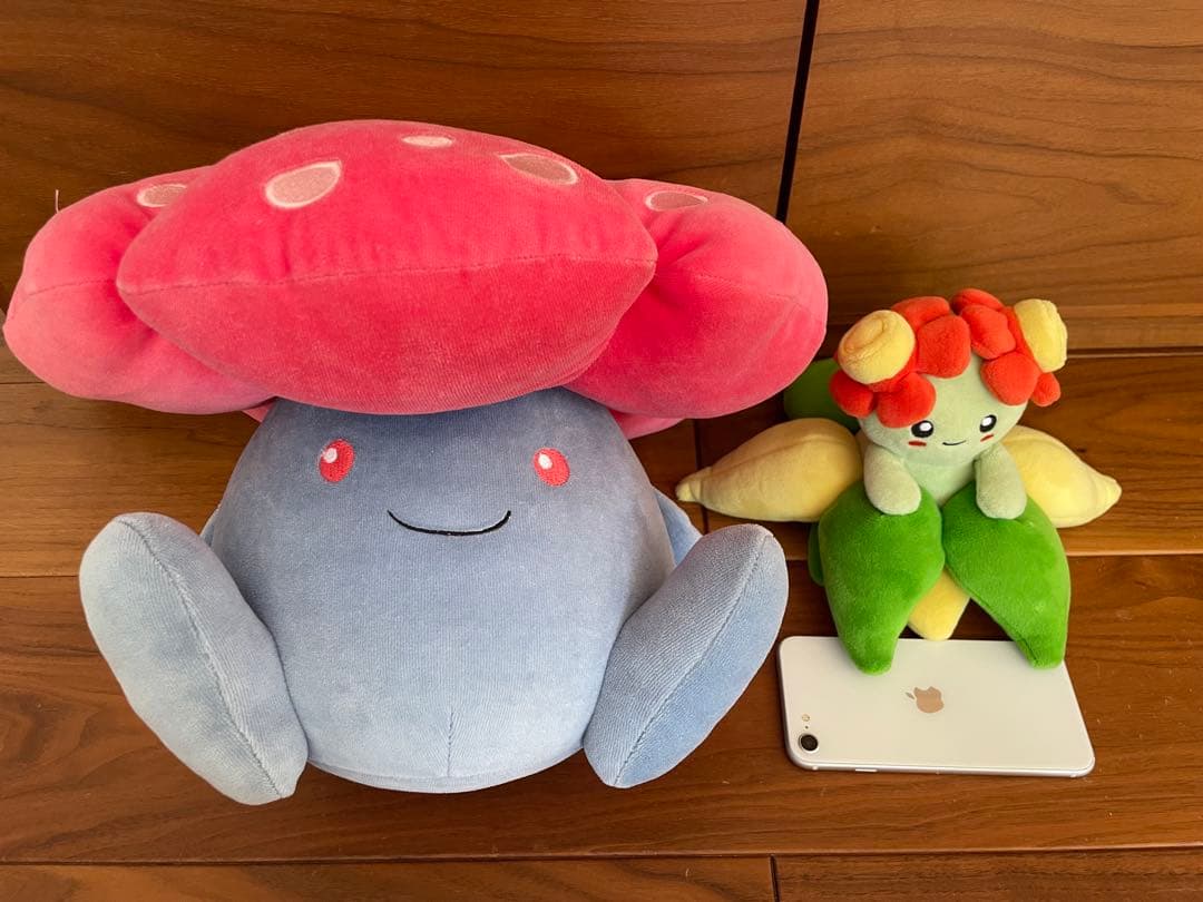 ラフレシア　もちふわクッション、キレイハナ　ぬいぐるみセット