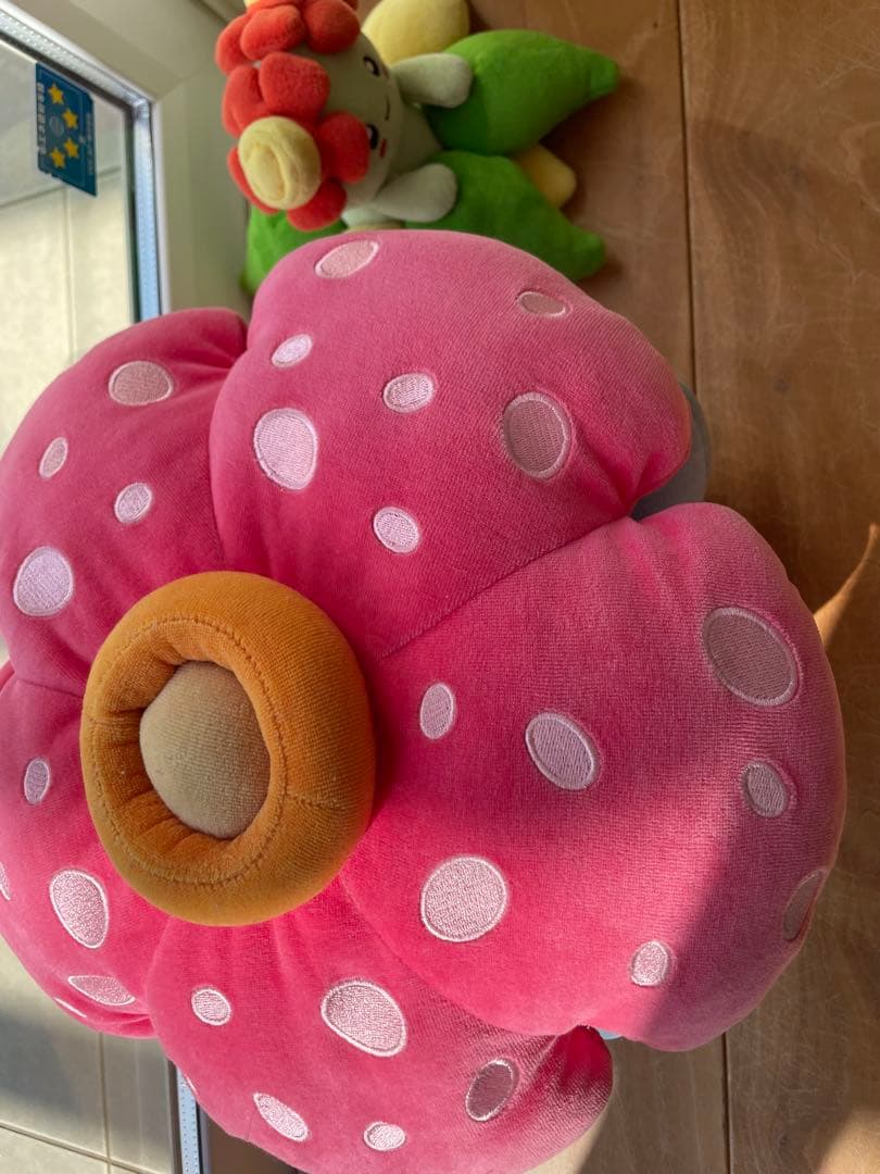 ラフレシア　もちふわクッション、キレイハナ　ぬいぐるみセット