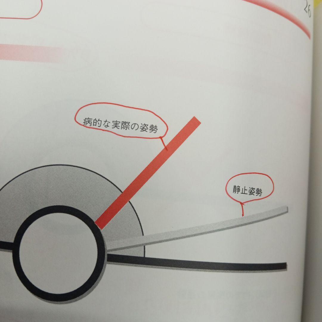 徒手医学　 [ドイツ徒手医学会]