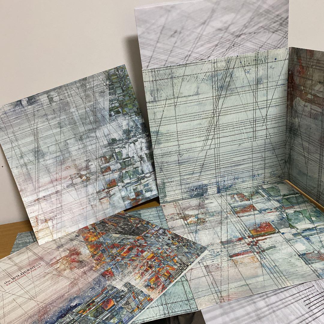 洋楽 EXPLOSIONS IN THE SKY - THE WILDERNESS