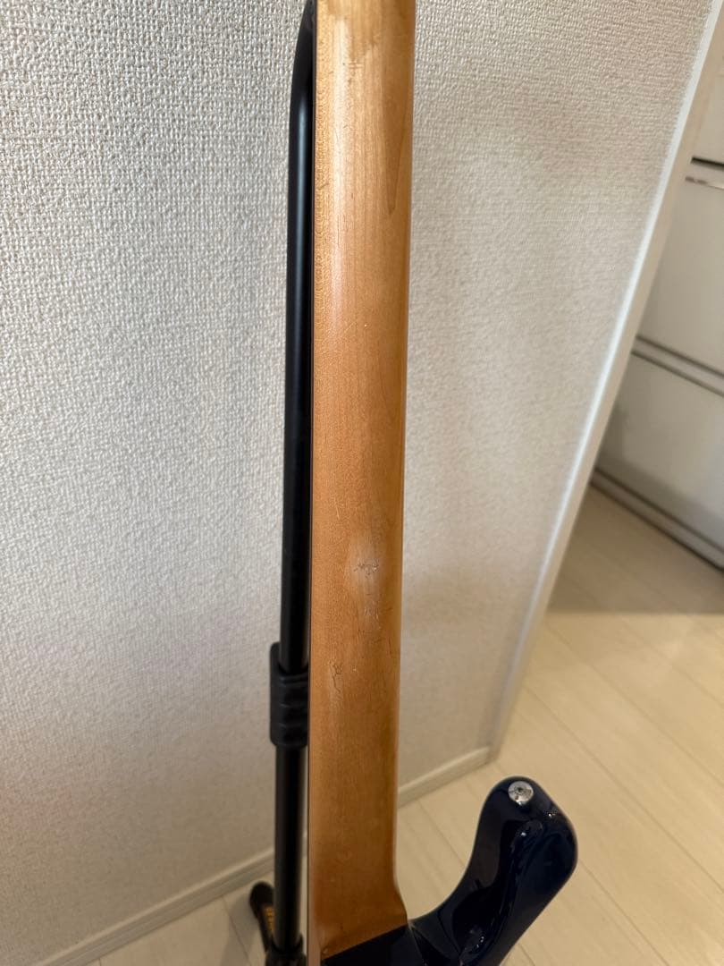 Bacchus BJB-98c バッカス GLAY JIRO TopDog