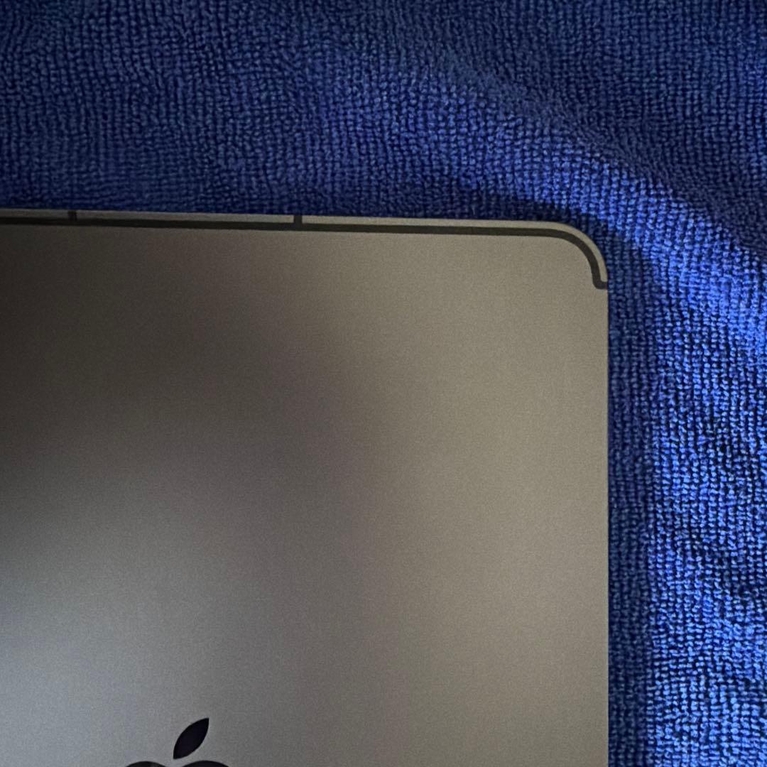 iPad Pro 11 第3世代 256GB Wifi Cellular 箱付き