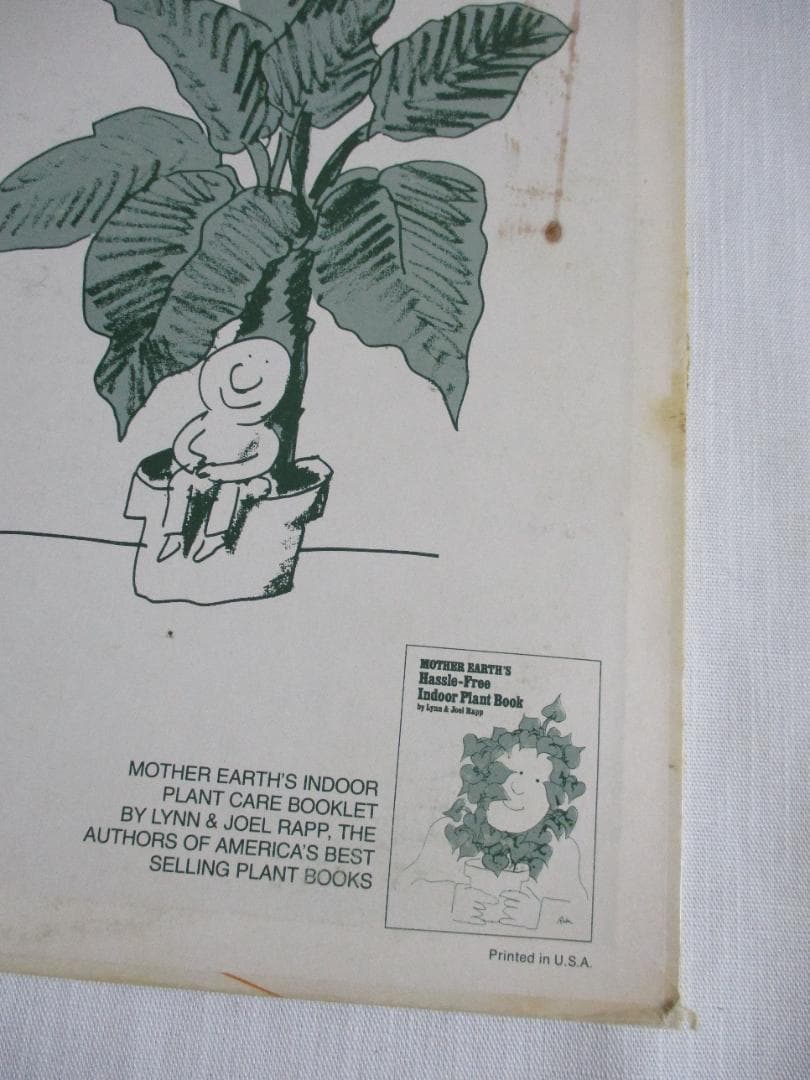 洋楽 Mort Garson Mother Earth's Plantasia