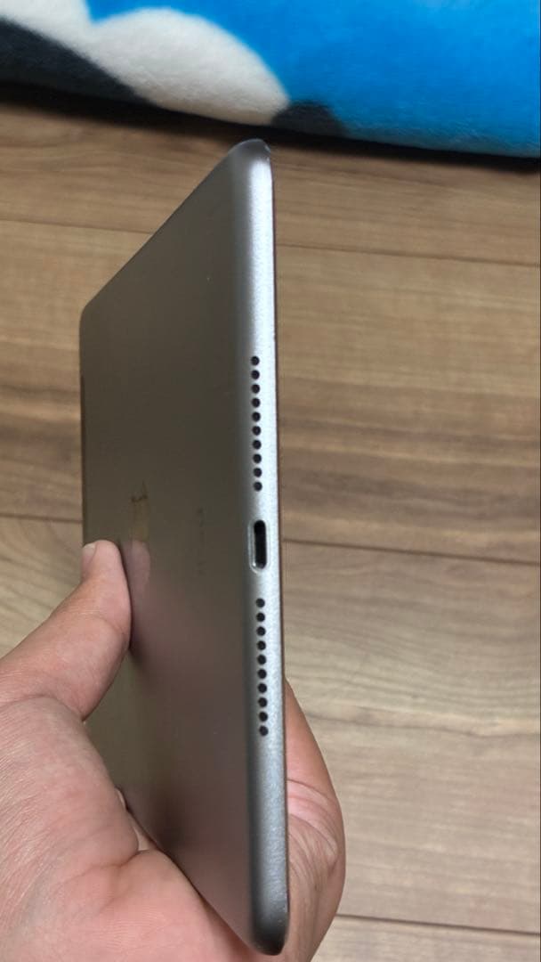 美品　iPad Mini 4 16GB