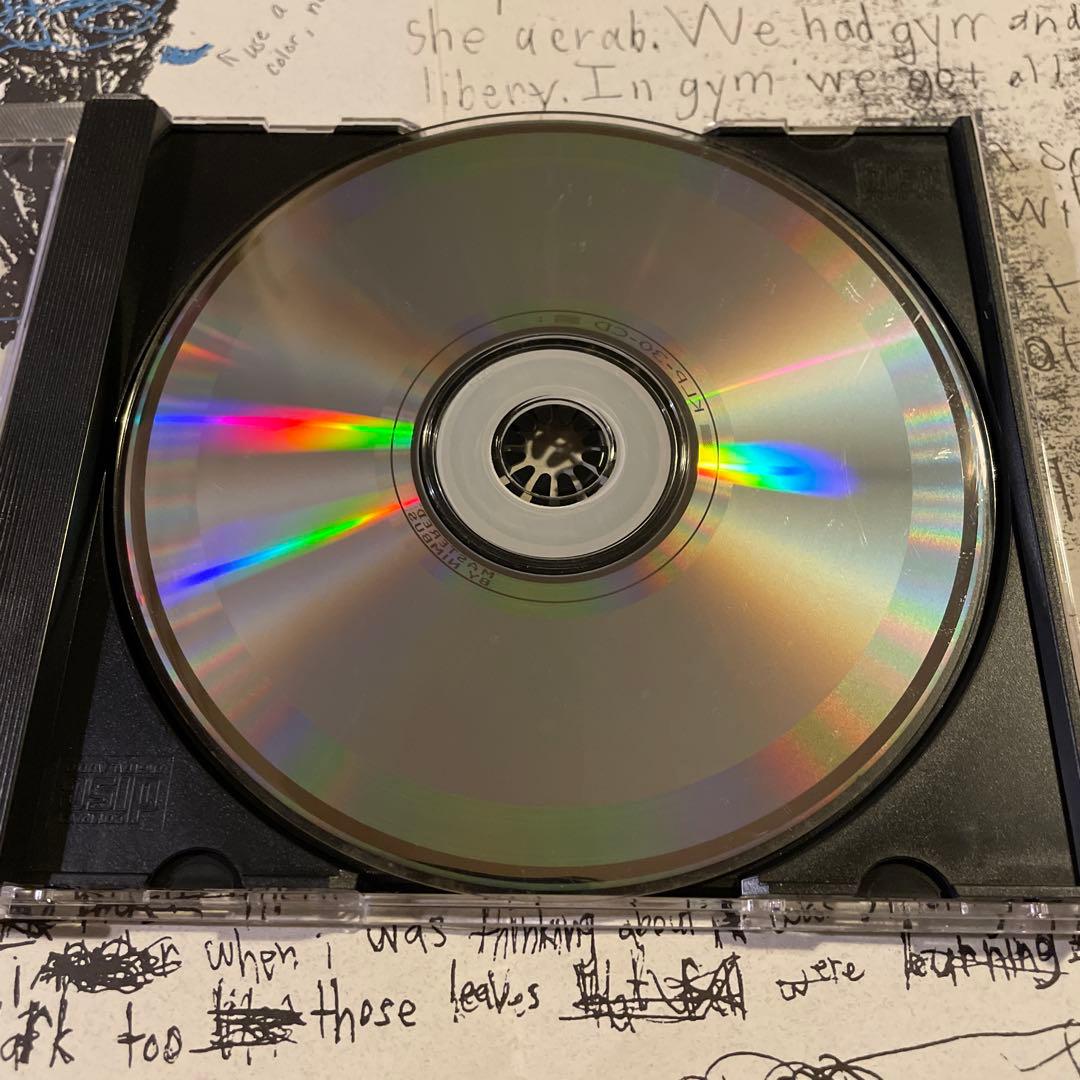 【廃盤】大名盤　Lync/these are Fall colors