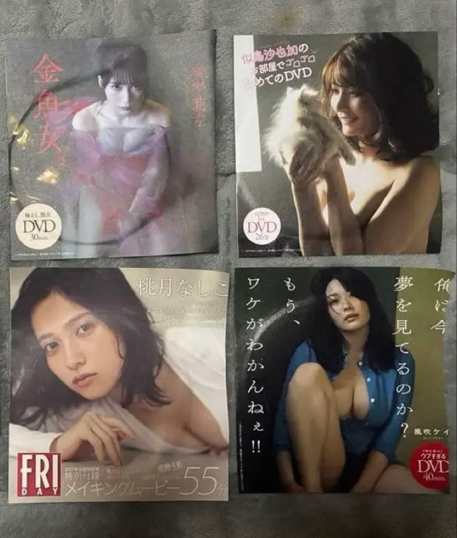 FRIDAY プレイボーイ　ヤングマガジン　ヤングチャンピオン他付録DVD76枚