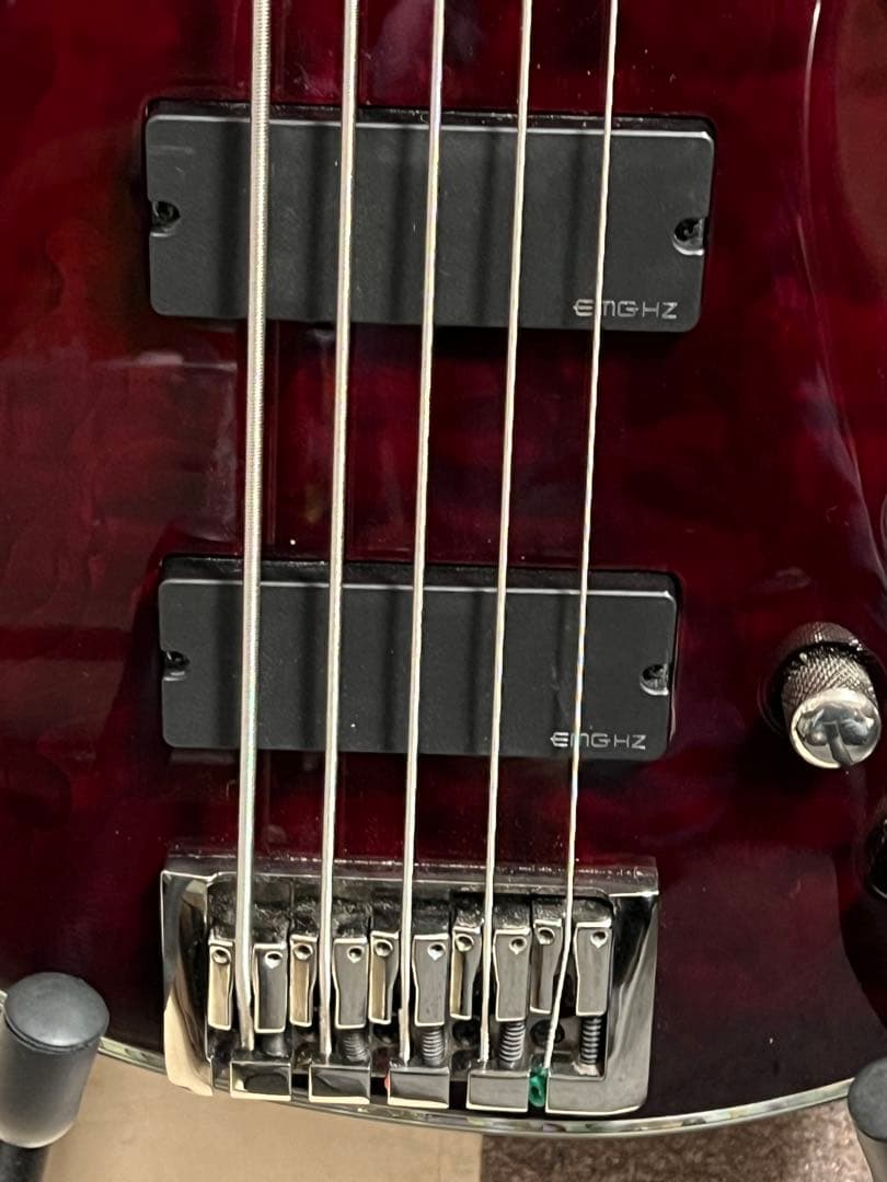 即発送 SCHECTER HELLRAISER-5 5弦ベース 調整済み