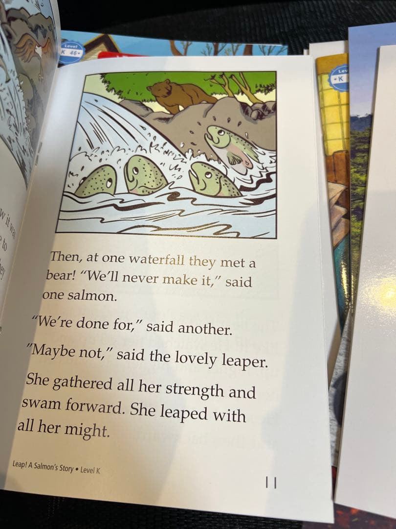 raz (Reading A-Z) level K 83冊