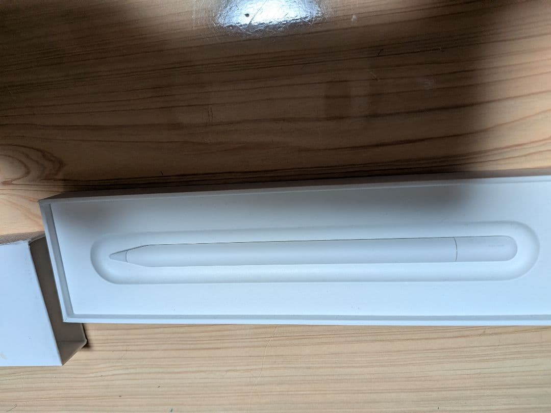 iPadアクセサリー Apple Pencil (USB-C)