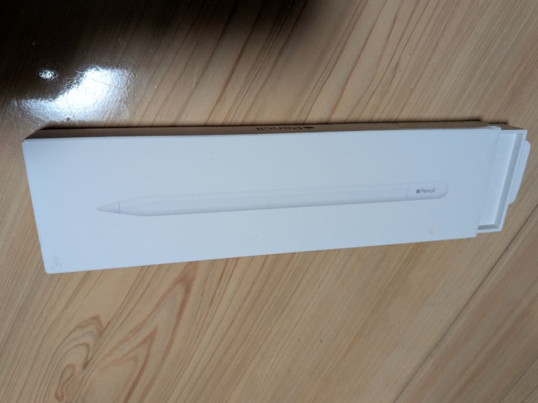 iPadアクセサリー Apple Pencil (USB-C)