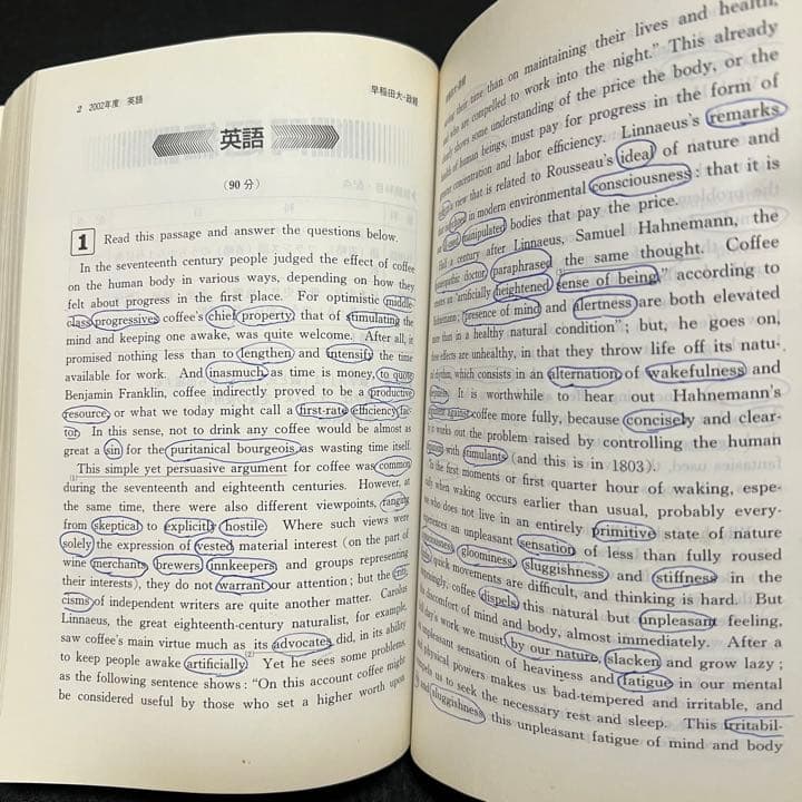 赤本　早稲田大学　政治経済学部　1998年～2018年　21年分