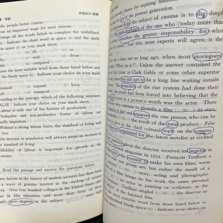 赤本　早稲田大学　政治経済学部　1998年～2018年　21年分