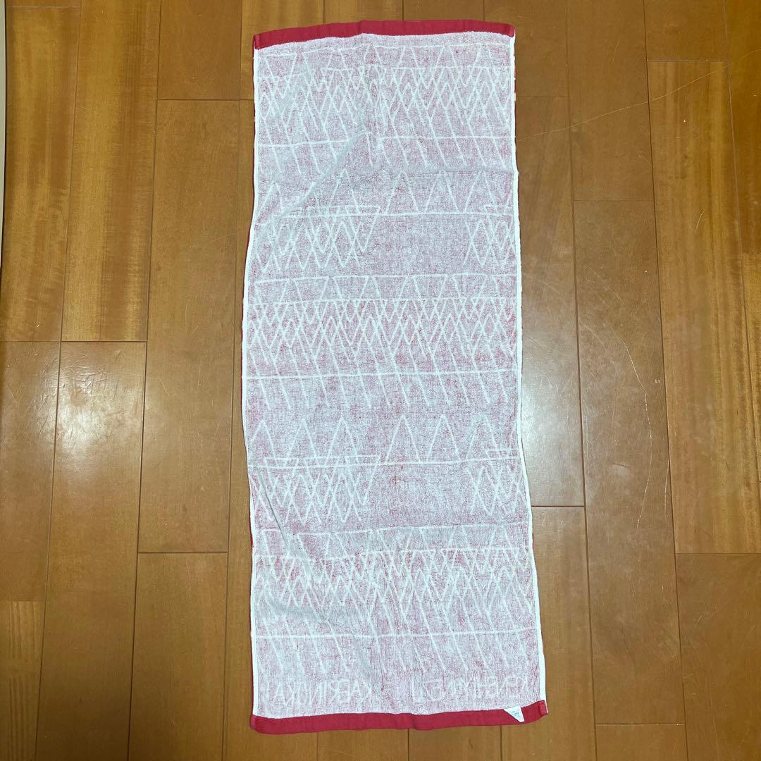 米津玄師 KAERINOKAI