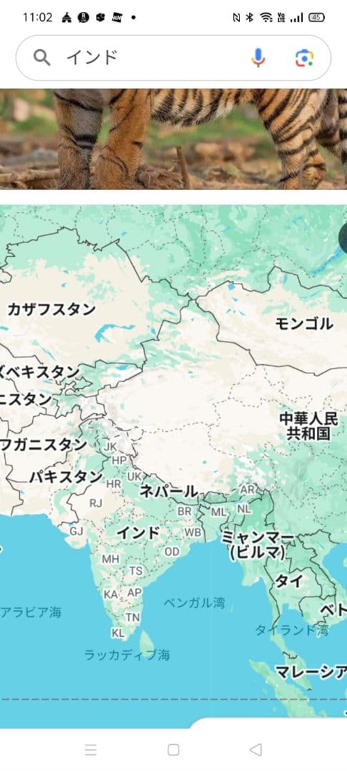 ♥♥⑱。「関西万博 インド パビリオン VP専用 ピンバッジ」。