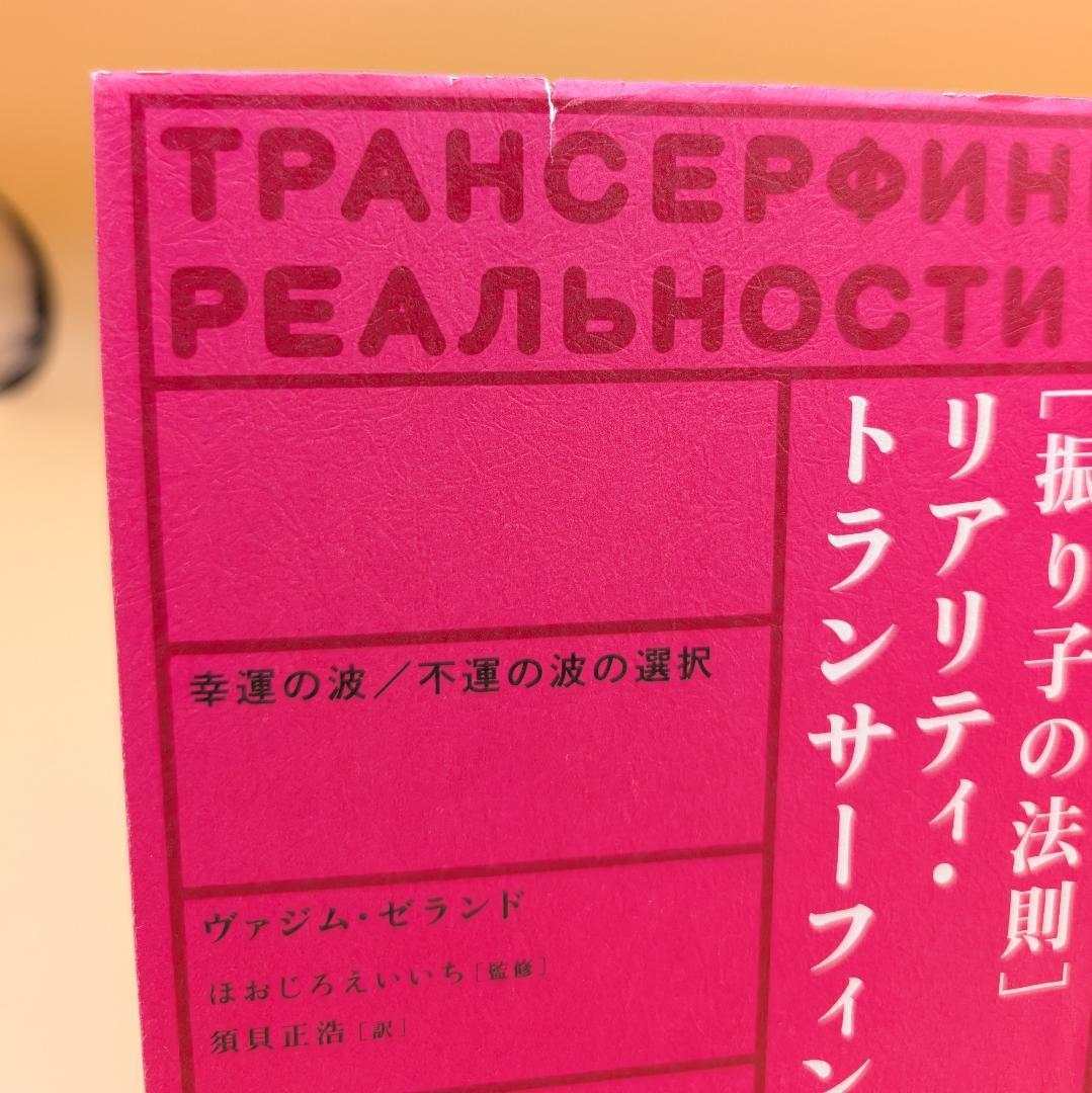 振り子の法則 リアリティ・トランサーフィン ヴァジム・ゼランド