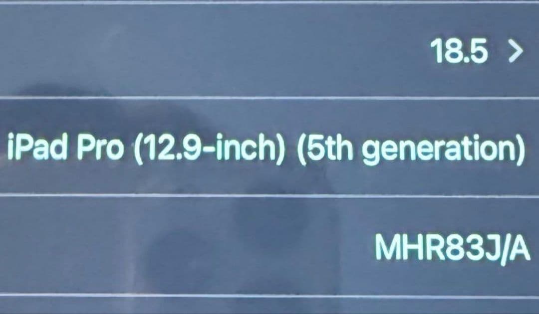 iPad Pro 12.9 第五 512GB Cellular フルセット