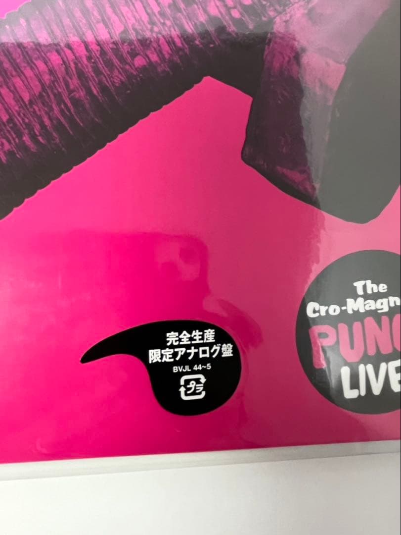 クロマニヨンズ　ツアー　Punch パンチ　ライブ　Live 限定生産