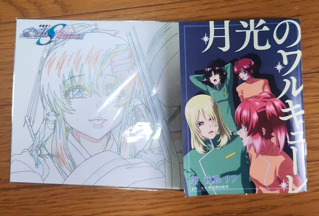 機動戦士ガンダムSEED SEED DESTINY 小説 全巻 映画特典