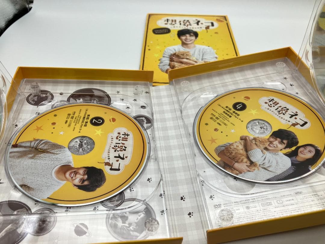 想像ネコ~僕とポッキルと彼女の話~ DVD-BOX