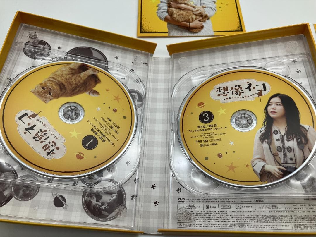 想像ネコ~僕とポッキルと彼女の話~ DVD-BOX