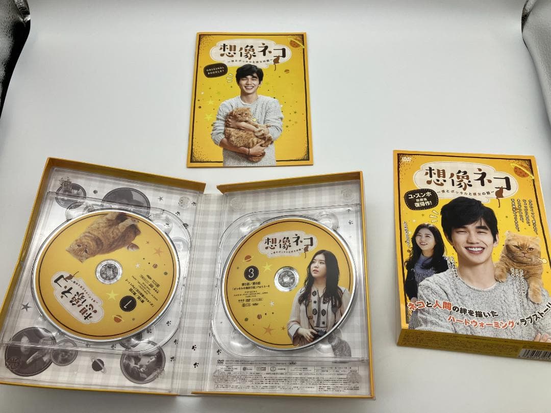 想像ネコ~僕とポッキルと彼女の話~ DVD-BOX