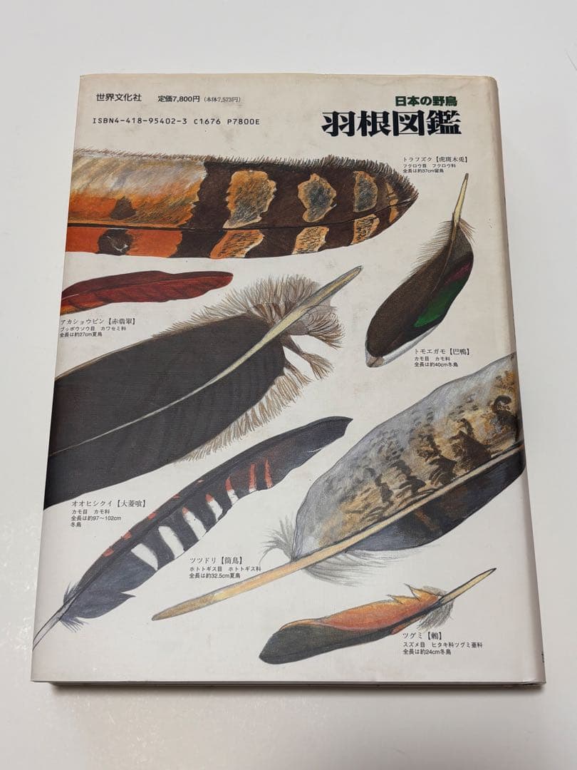 日本の野鳥　羽根図鑑
