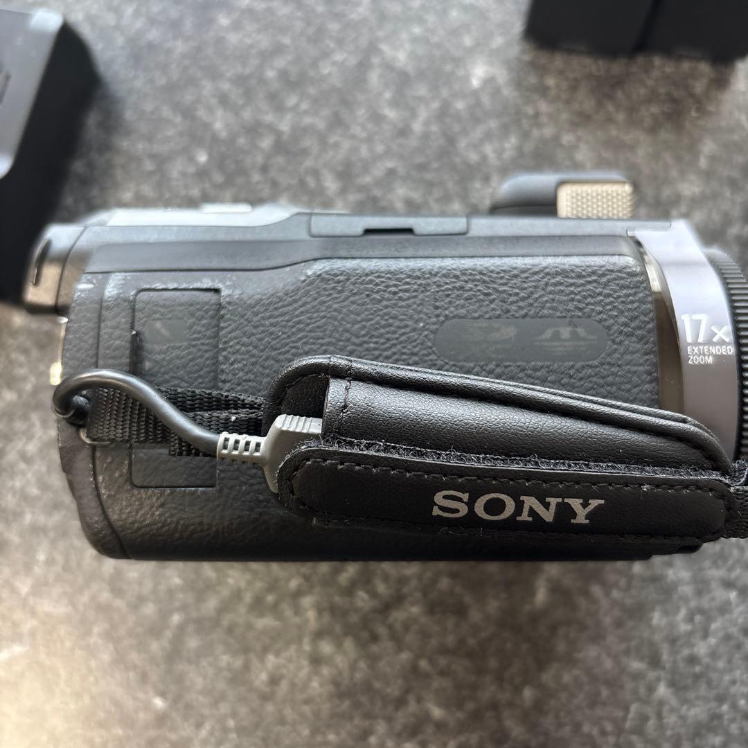 ビデオカメラ SONY HDR-PJ790V