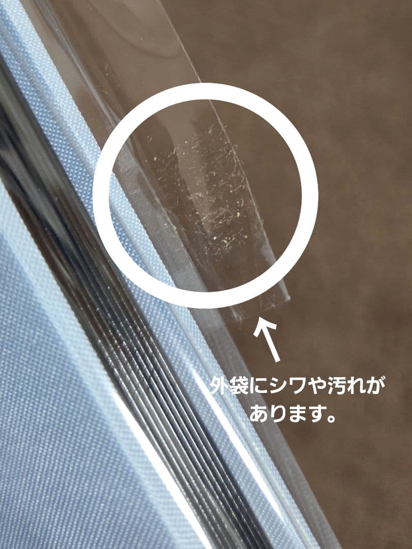 川嶋あい プレミアムフォトブック グッズ 限定