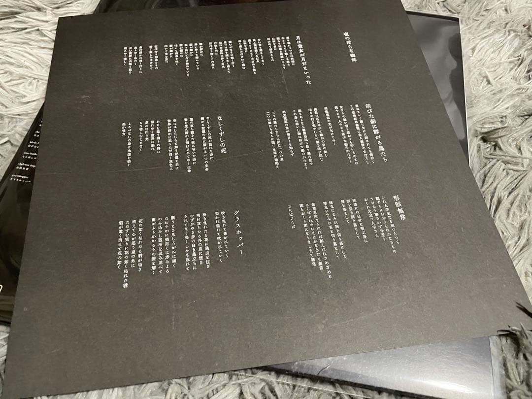 邦楽 Z.O.A. NIGHT'S WANTON SPIDER LP