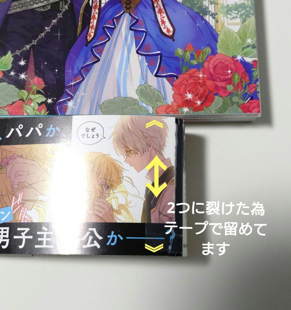 ある日、お姫様になってしまった件について 特典付き 異世界コミック